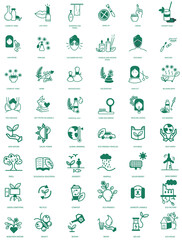 eco friendly and cosmetic icon set vector illustration 