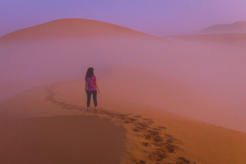 Fototapeta na wymiar Sunrise in The Liwa Oasis