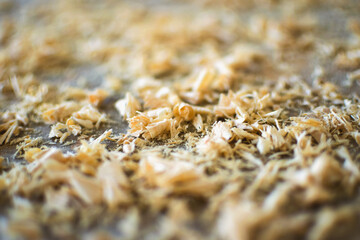 Wood sawdust texture material background closeup