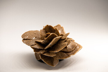 Close up horizontal shot of the selenit mineral, gypsum flower, desert rose or satin spar isolated on white, souvenir from the Gobi desert, China, Copy space for text on the top of the image