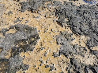 Coast of the Mediterranean Sea, long frozen lava. Background. It looks like an alien landscape.