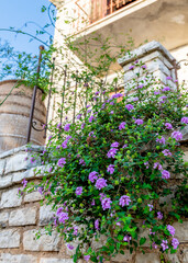 A beautiful traditional style stone house on Ithaca Island, Greece, decorated with pot plants.