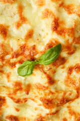Lasagna with basil on whole background, close up