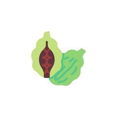 Cardamom seeds flat icon