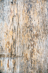 Wooden texture designed for your background