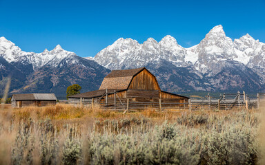 Iconic wooden barn in field with background of Grand Teton.