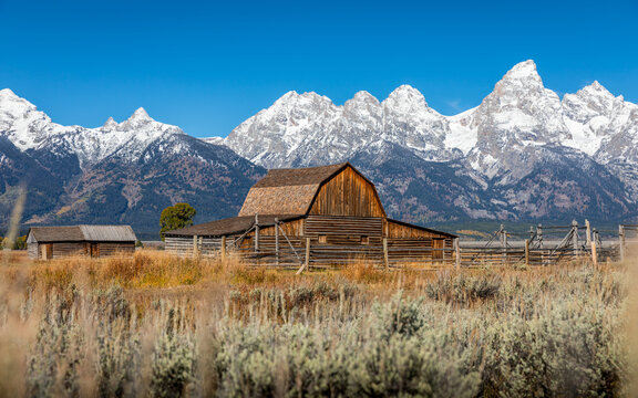 Iconic wooden barn in field with background of Grand Teton. © jack-sooksan