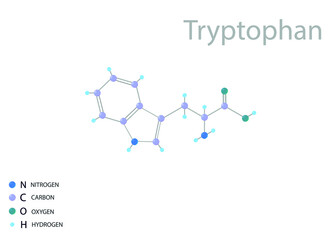 Tryptophan molecular skeletal 3D chemical formula.	