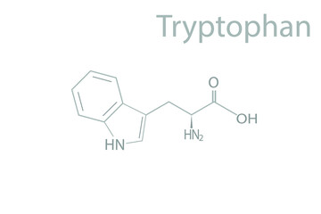 Tryptophan molecular skeletal 3D chemical formula.	