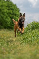 I believe i can fly. © Przemysaw