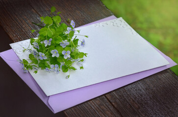 Bouquet of tiny light blue flowers Veronica filiformis on white card blank with light purple color...