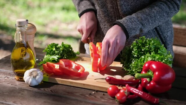 Woman Cuts Tomatoes Making Vegetable Salad Outdoors