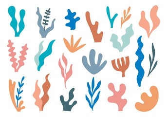 Abstract Seaweed Shape Aesthetic Element Vector Illustration