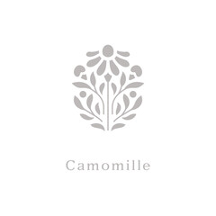 camomile, herb flower, vector symbol design