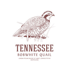 Fototapeta na wymiar Vintage Bird Logo. Tennessee State Bird. Bobwhite Quail
