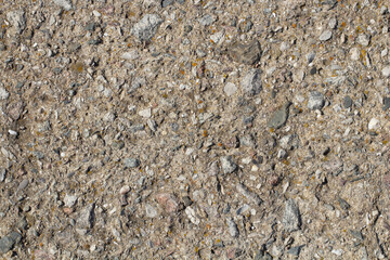 stone wall texture. pieces of shells stick out of the stone. textured design background