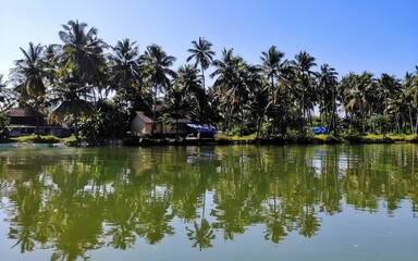 Fototapeta na wymiar Island with tiny houses and lots of coconut trees