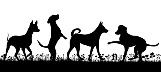 dogs playing silhouette on white background, isolated, vector