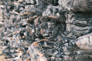 Fire consequences. A pile of charred wood after a fire