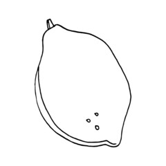 Lemon. A hand-drawn outline of a whole fruit. Vector linear illustration in doodle style, isolated. Drawing with a black line on a white background. An element for the design of card, print, sticker.