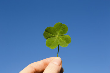 Woman holding one beautiful green clover leaf against blue sky, closeup