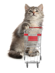Cute kitten and shopping cart on white background
