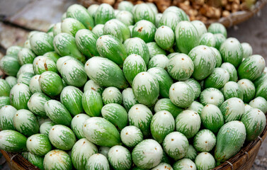 Fototapeta na wymiar group of many eggplants, green eggplant background 