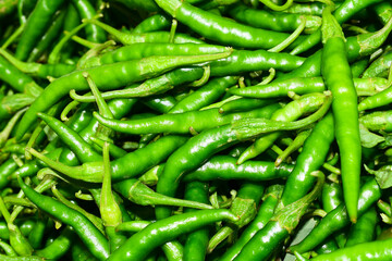 Close up top view of freshly harvested green chillies