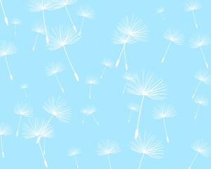 White flying summer dandelions on a blue background