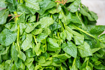Punishak is one of the sources of vitamin K. Vitamin K helps in blood clotting.

