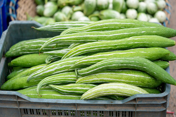 Cucumber round and long, in market
