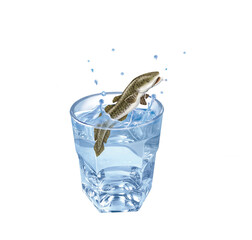 lotte , poisson, évasion, eau, en verre, boire, clapoter, glace, isolé, liquide, abattre, blanc, froid, bleu, éclaboussure, bouillonner, transparent, clair, cool, frais, humide, propre, rafraîchisseme