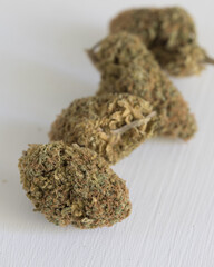 Cannabis buds dried, cured and trimmed against a light background
