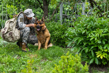 military meeting with a dog