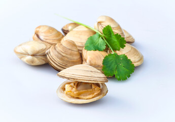 open en closed clams with shellfish isolated on white background