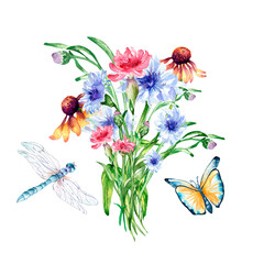 Bouquet of meadow flowers, buttefly, dragonfly watercolor isolated