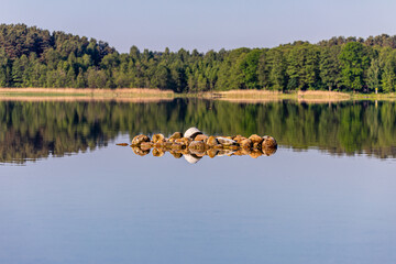 kamienie i las odbite w jeziorze