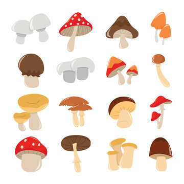 Cartoon Mushrooms Set