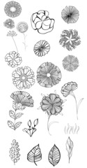 Floral vector monochromatic outlined elements for graphic design - 510785860
