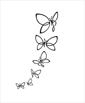 butterfly on white