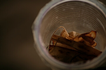 used tea bags in plastic cup. close up. top view