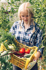 Fototapeta premium Blonde teenage girl in a plaid shirt and jeans is holding a yellow plastic box with fresh vegetables in her home garden on a summer day.Summer,gardening,harvest concept.Selective focus,close up.