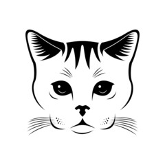 cat face  vector