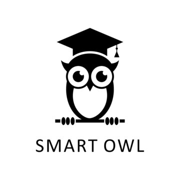 owl with cap