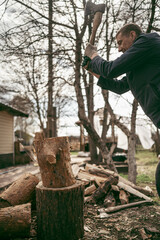 Chainsaw in action cutting wood. Man cutting wood with saw
