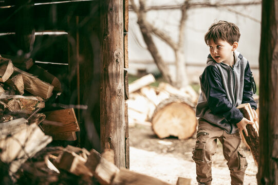 the boy helps his father to stack firewood, the child helps his parents with household chores in a country village house