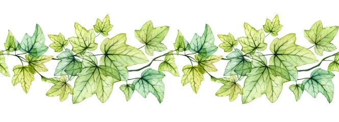 Watercolor seamless border with transparent leaves. English ivy plant. Horizontal line. Fresh grape foliage isolated on white - 510791874