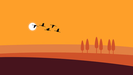 Storks fly over the field at sunset