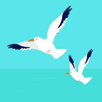 Two seagulls are flying over the sea