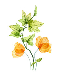 Watercolor yellow tulips bouquet. Spring orange flowers with green ivy leaves. Floral hand drawn composition